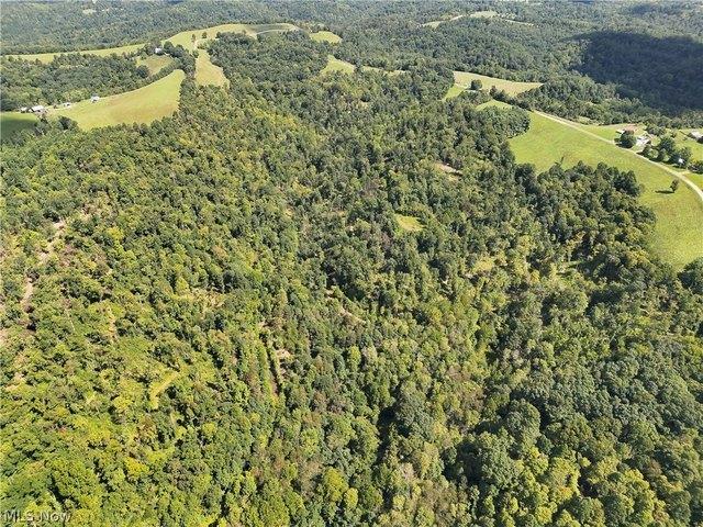 Land for sale in Caldwell, Noble County