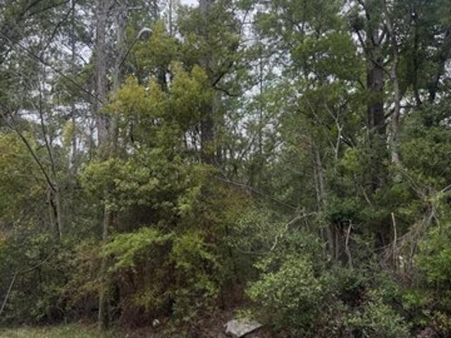 Land for sale in Starke, Florida
