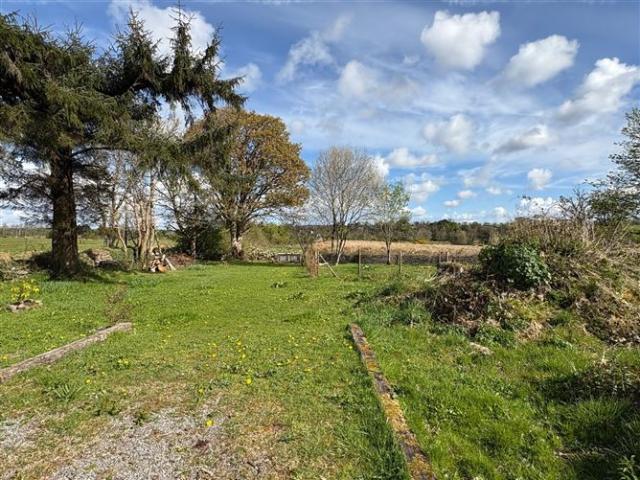 Cottage for sale in Ballaghaderreen