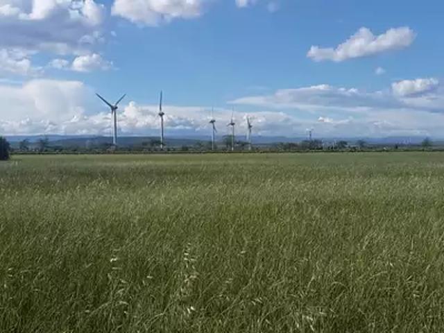 Terrain vente à Narbonne, Cruscades