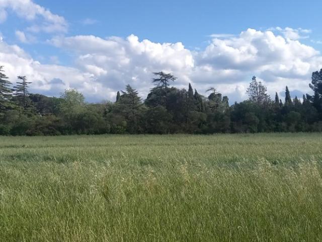 Terrain vente à Narbonne, Cruscades