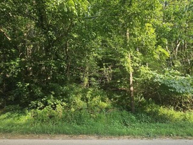 Land for sale in Virginia