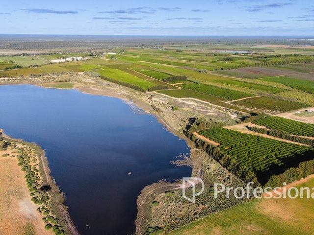 Cottage for sale in Red Cliffs, Victoria