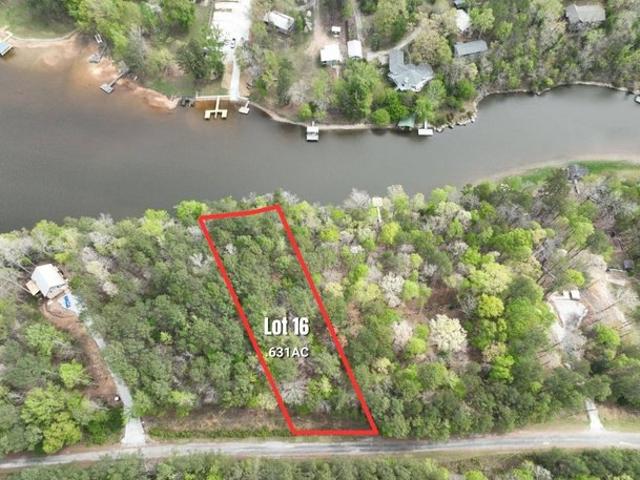 Land for sale in Wedowee, Alabama
