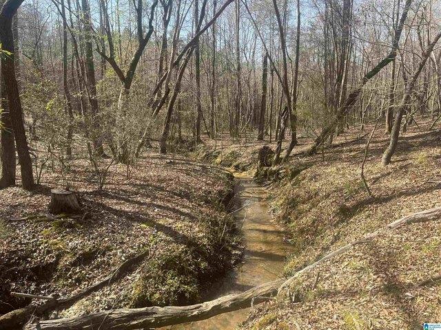 Land for sale in West Blocton, Alabama
