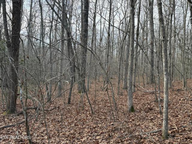 Land for sale in Tennessee