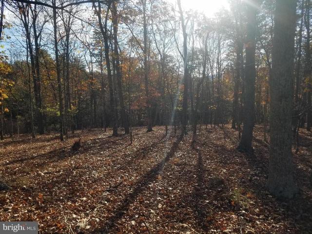 Land for sale in Romney, West Virginia