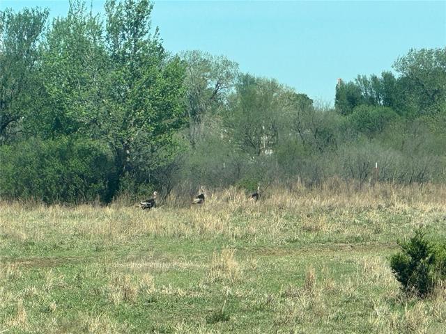 Land for sale in Chickasha, Oklahoma