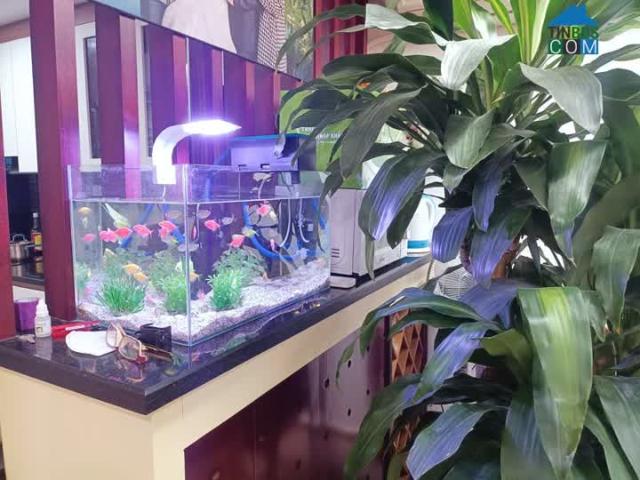 Căn hộ bán tại Hoàn Kiếm, Hà Nội