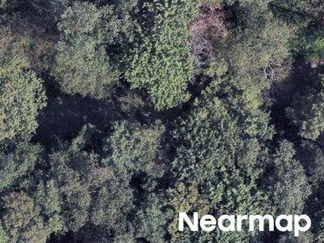Land for sale in Newfoundland, Pennsylvania