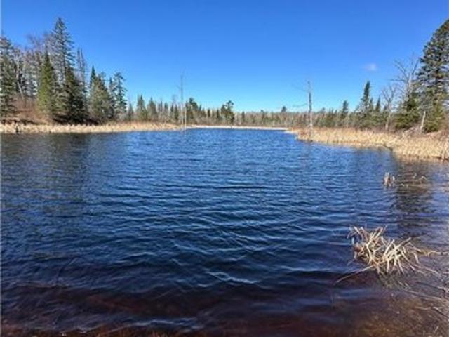 Land for sale in Beltrami, Minnesota