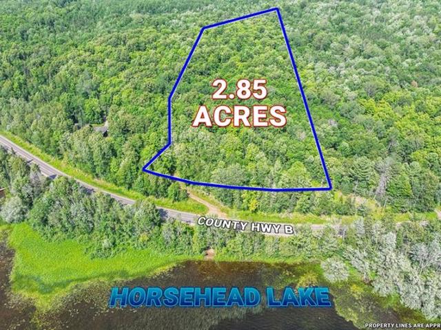 Land for sale in Vilas, Wisconsin