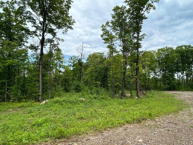 Land for sale in Pelican Lake, Wisconsin