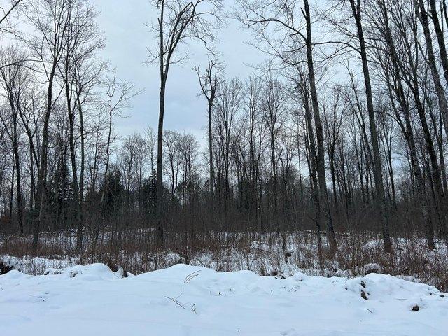 Land for sale in Pelican Lake, Wisconsin