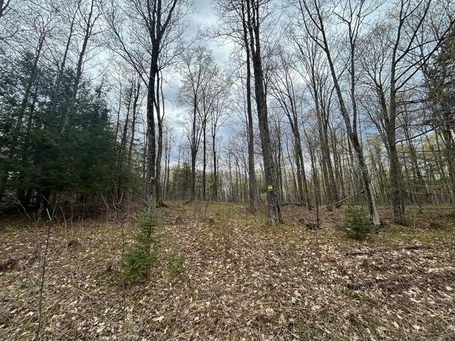 Land for sale in Pelican Lake, Wisconsin