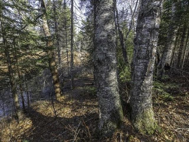 Land for sale in Vilas, Wisconsin
