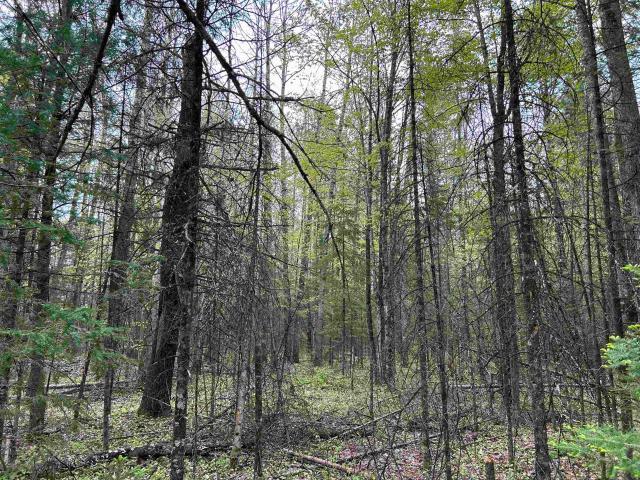 Land for sale in Mountain, Wisconsin