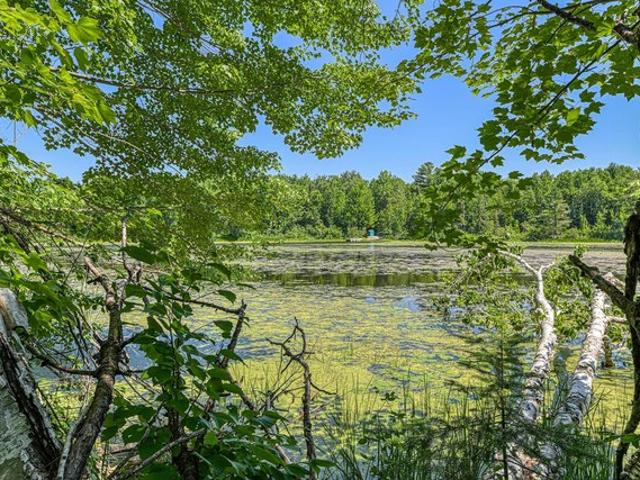 Land for sale in Phillips, Wisconsin