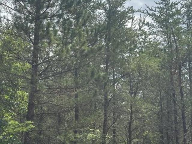 Land for sale in Tomahawk, Wisconsin