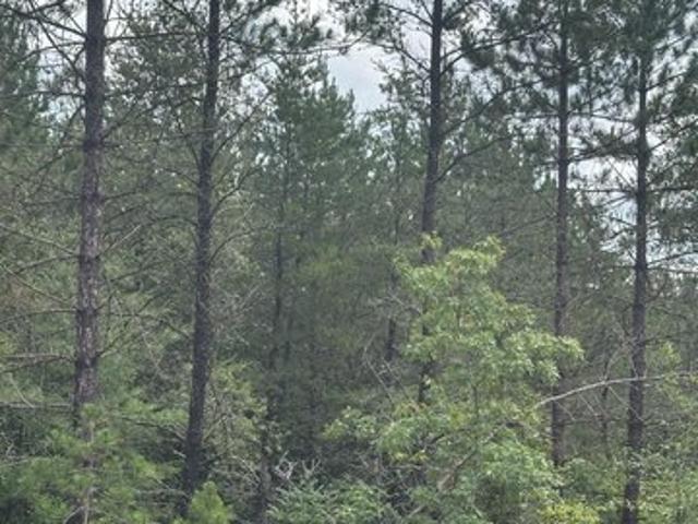 Land for sale in Tomahawk, Wisconsin