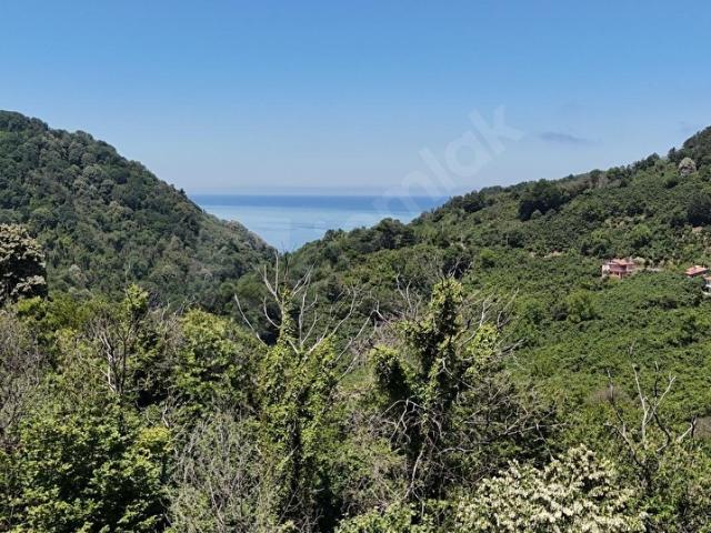 Cemaller, Ereğli içerisinde satılık mülk