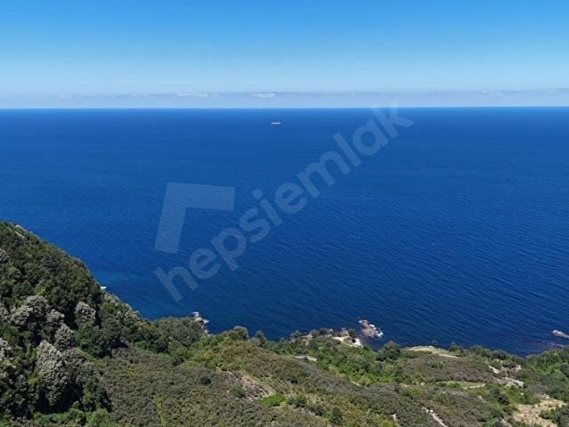 Ereğli, Zonguldak içerisinde satılık mülk