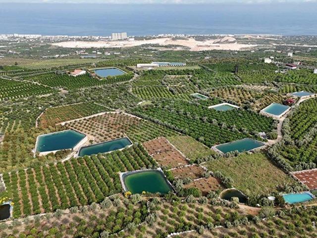 Erdemli, Mersin içerisinde satılık Arsa