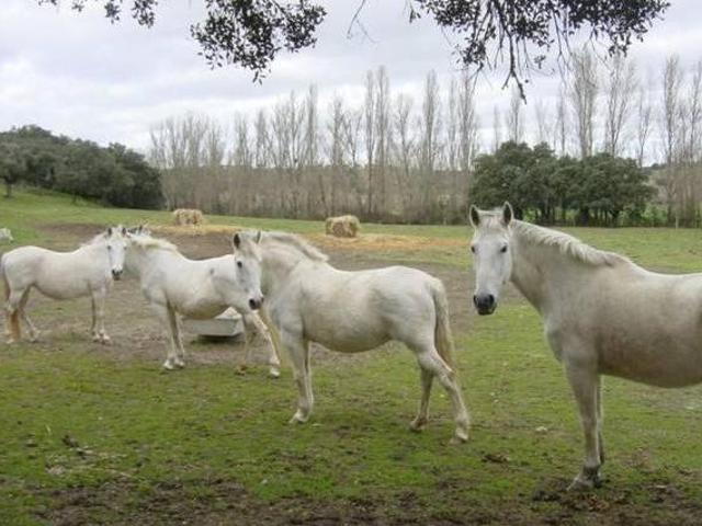 Casa en alquiler en San Pedro Del Valle, Salamanca