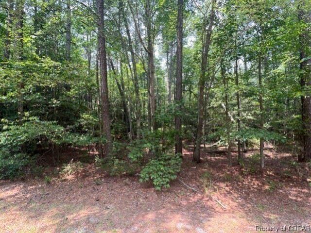 Land for sale in Virginia