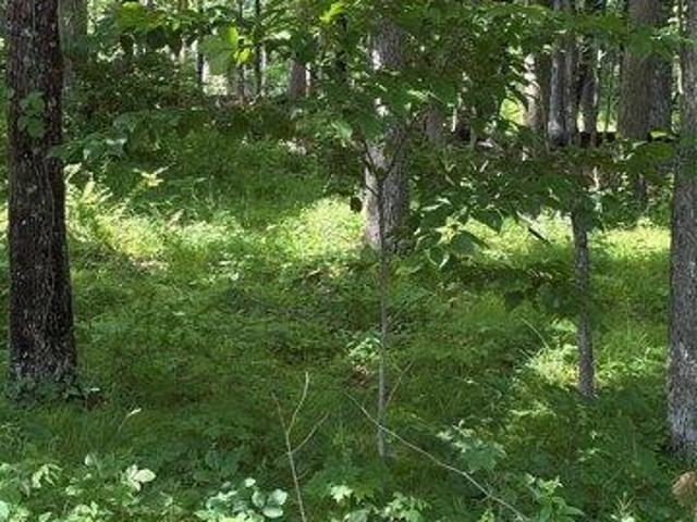 Land for sale in New York