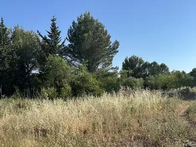 Terrain vente à Arrondissement de Toulon, Cuers