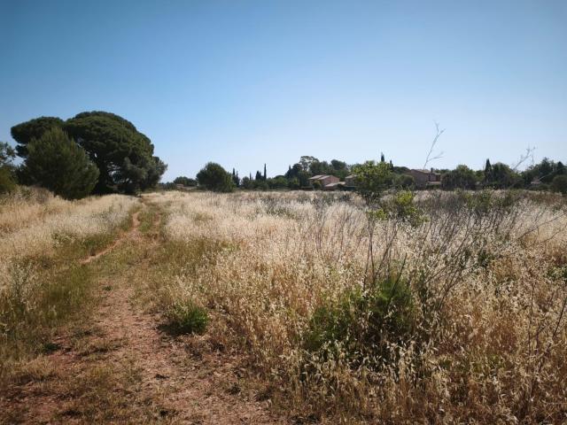 Terrain vente à Arrondissement de Toulon, Cuers