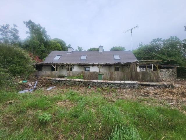 Farm for sale in Strokestown