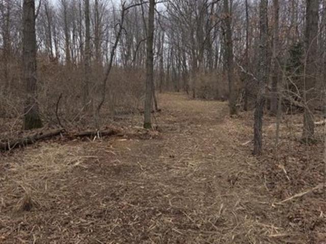 Land for sale in Hartland, Michigan