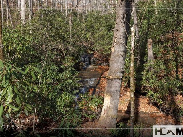Land for sale in Cullowhee, North Carolina