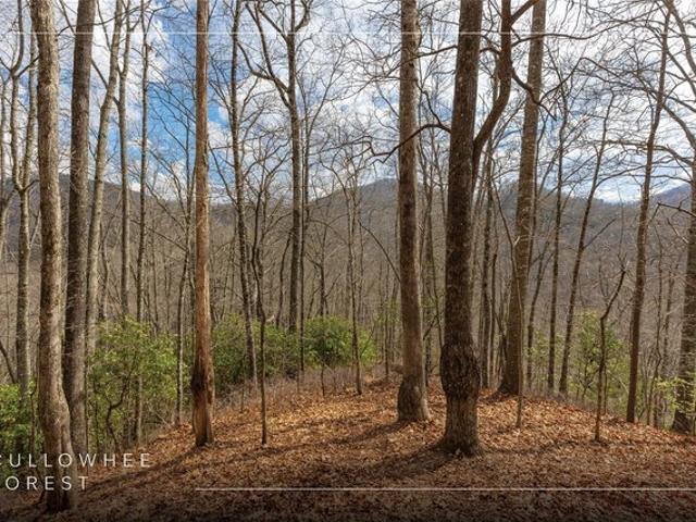 Land for sale in Cullowhee, North Carolina