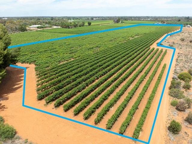 Property for sale in Glossop, South Australia