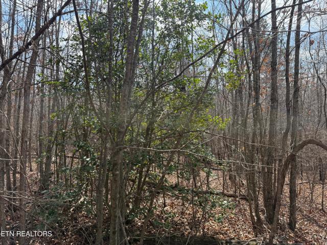 Land for sale in Tennessee