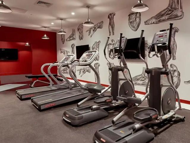 Apartment for rent in Southampton, Cultural Quarter