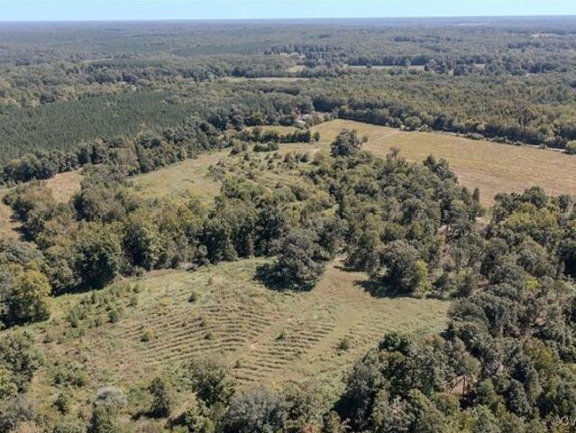 Land for sale in Farmville Land for sale in Farmville