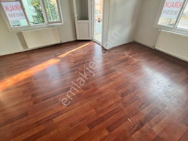 Yalova Merkez, Yalova içerisinde kiralık mülk