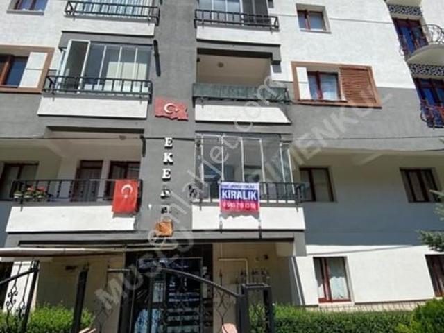 Ulukavak Mahallesi, Çorum Merkez içerisinde kiralık mülk