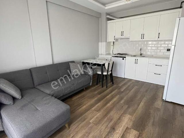 Ordu içerisinde kiralık mülk