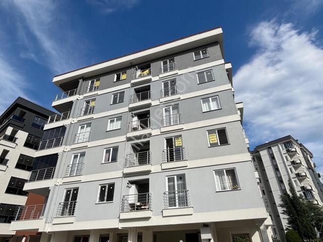 Ordu, Altınordu içerisinde kiralık mülk