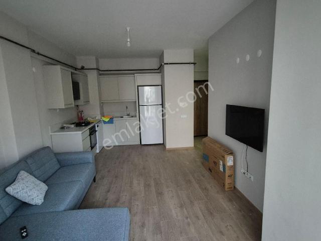 Ordu içerisinde kiralık mülk