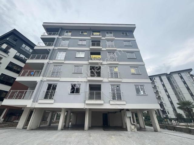 Ordu içerisinde kiralık mülk