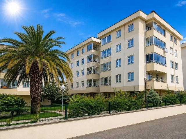Ordu içerisinde kiralık mülk