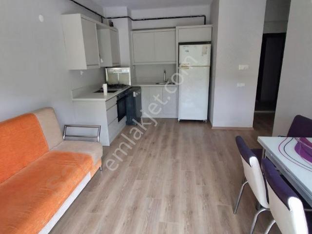 Ordu içerisinde kiralık mülk