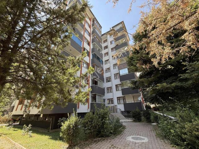 Elazığ Merkez, Elaziğ içerisinde kiralık mülk
