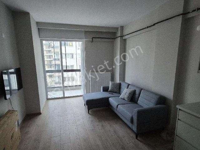 Ordu içerisinde kiralık mülk